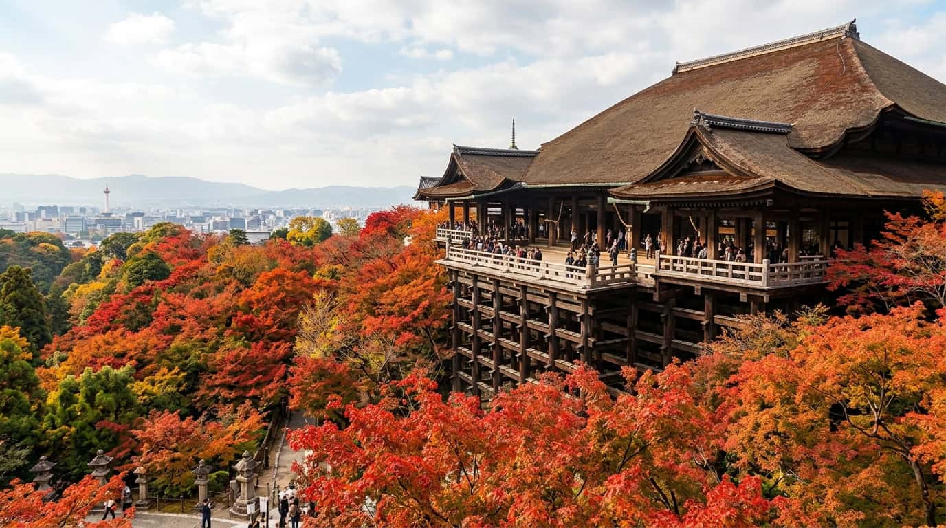 A wide shot looking slightly up at the massive wooden